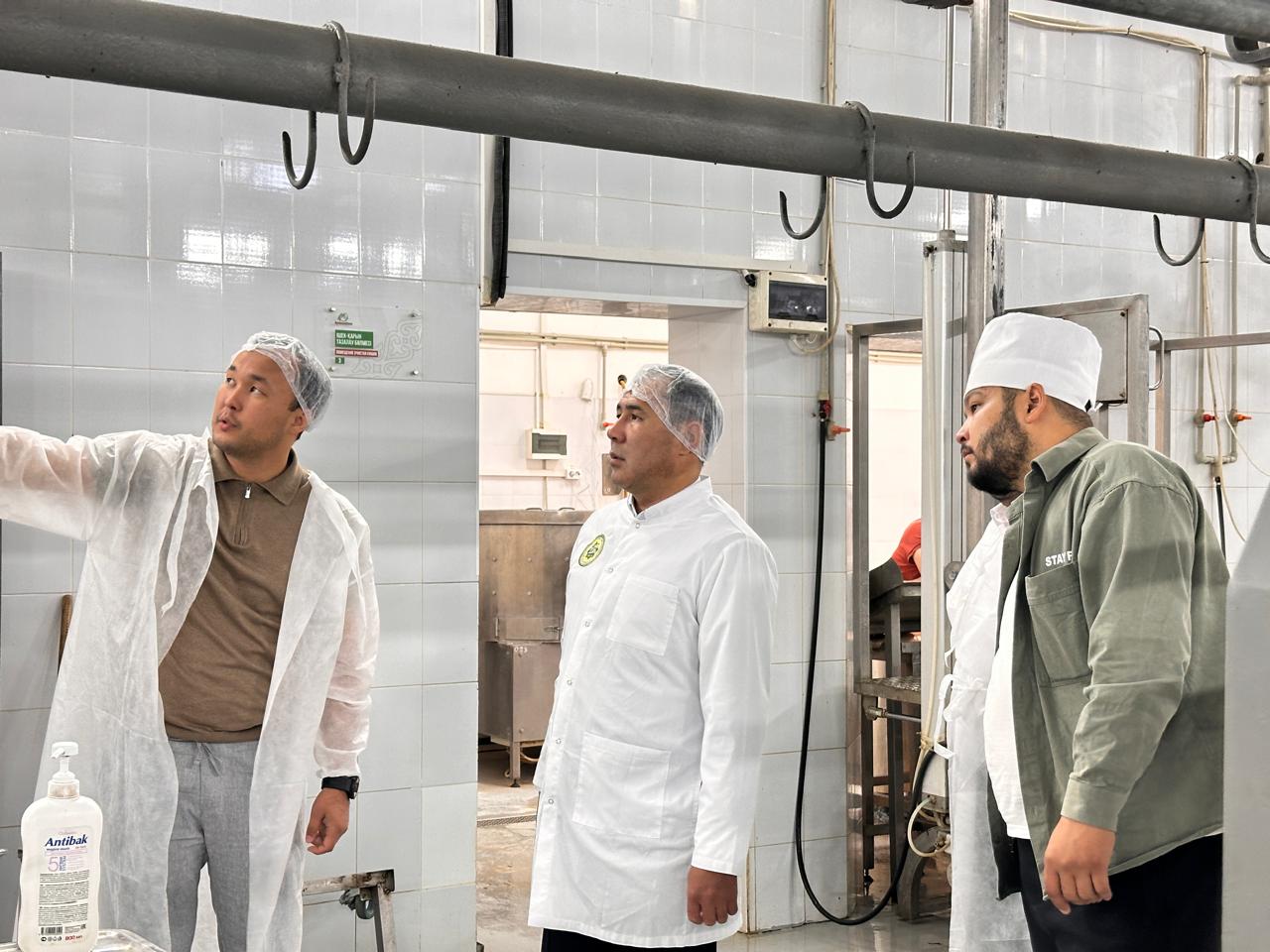 Нижний Новгородтағы BDSM студиясы Жетілген әйелдің кискасы қандай ұнайды (порно видео)